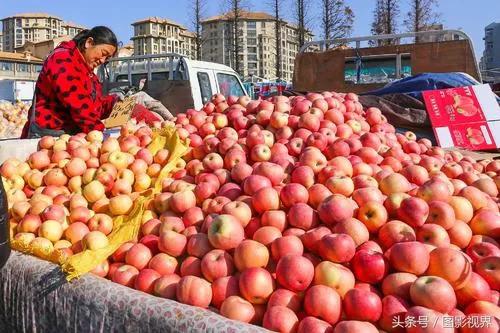 今年苹果为啥如此难卖,浅谈苹果11