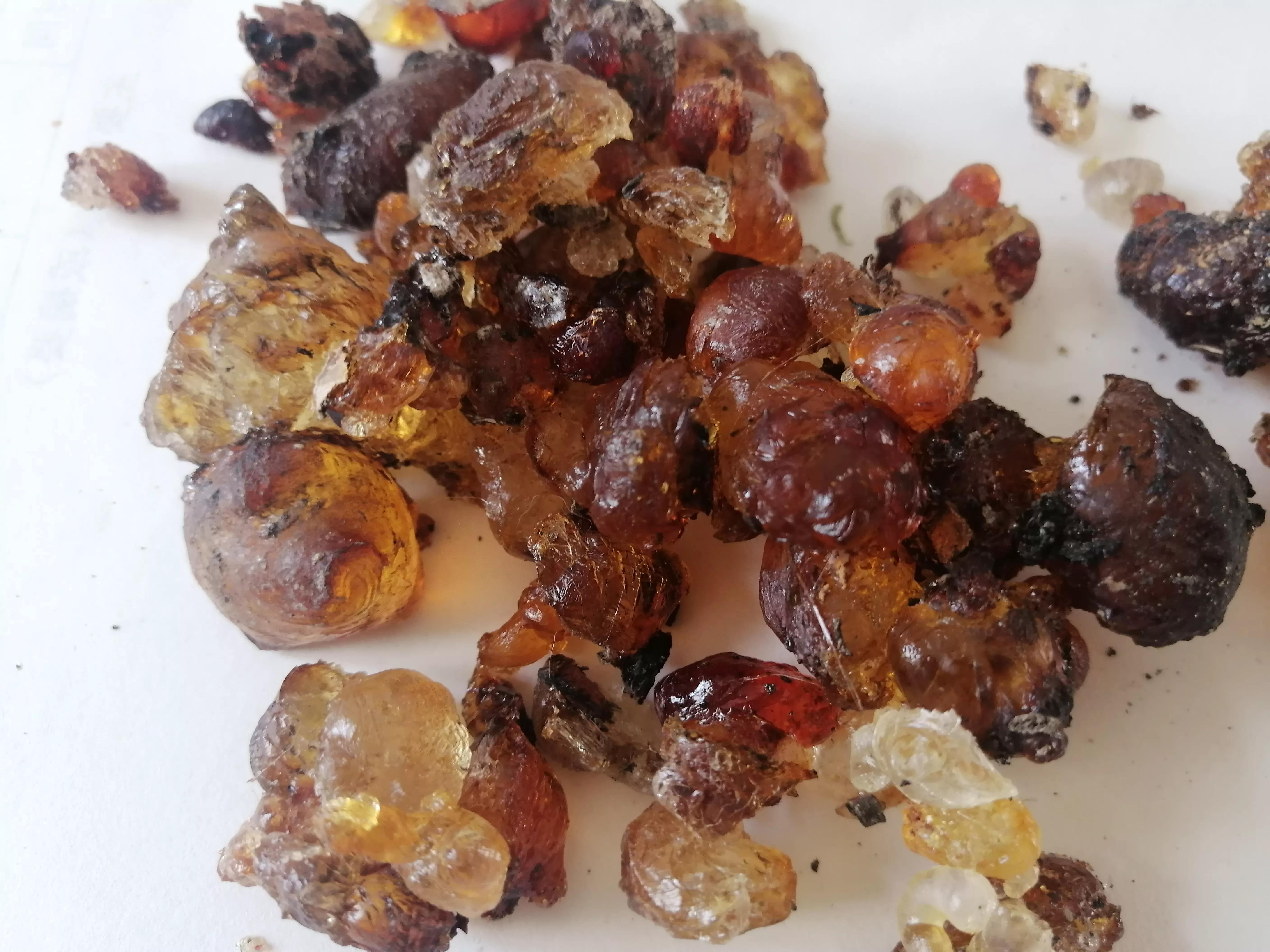 桃胶采摘多少钱,桃胶采摘过程