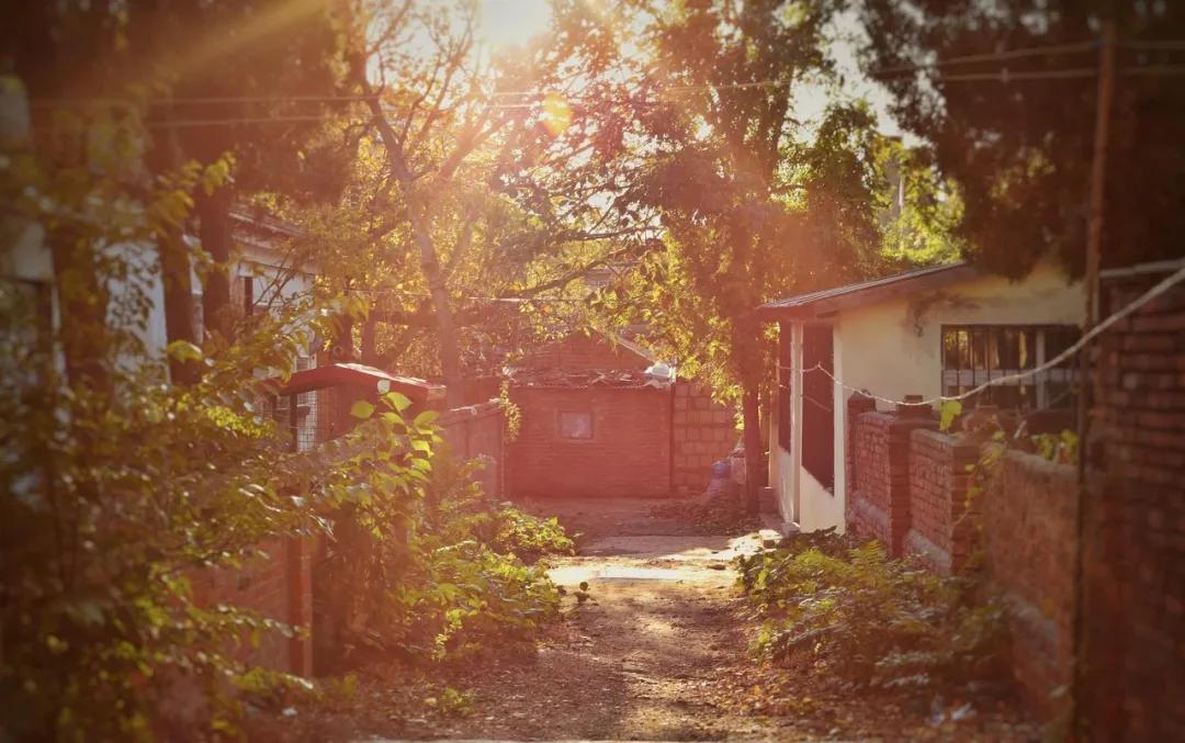 三亚和厦门哪一个更值得去旅游,三亚和厦门哪个更值得去旅游