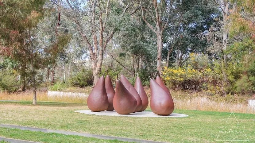 澳洲堪培拉景色,澳洲堪培拉动物园