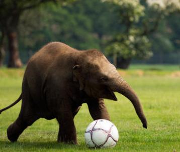 2020f5有几种颜色,2020f5