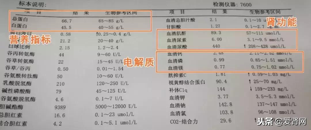 复查心里没底?简单易懂的肾内科检查解读,给每一位需要的肾友