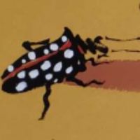 你认识吗丁啉,你认识吗