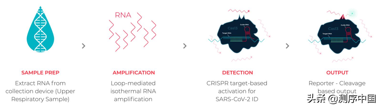 sherlock新冠病毒检测系统,新冠病毒实时数据小程序