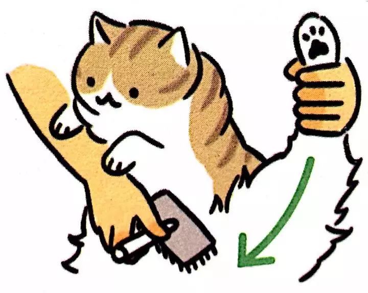 给猫梳毛能防止掉毛吗,给猫梳毛为什么猫会舒服