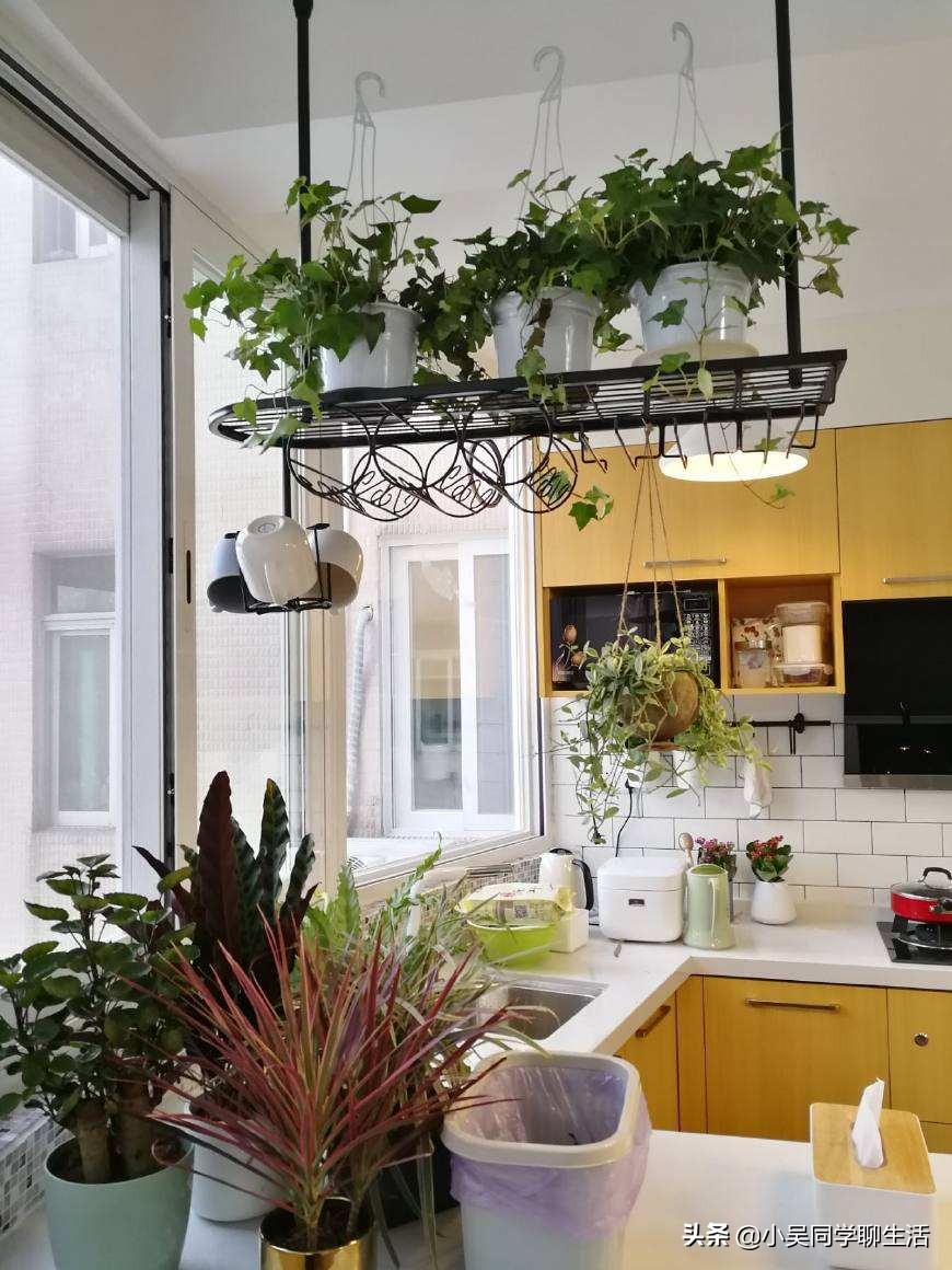 如何把屋顶花园改造成厨房,简易厨房花园