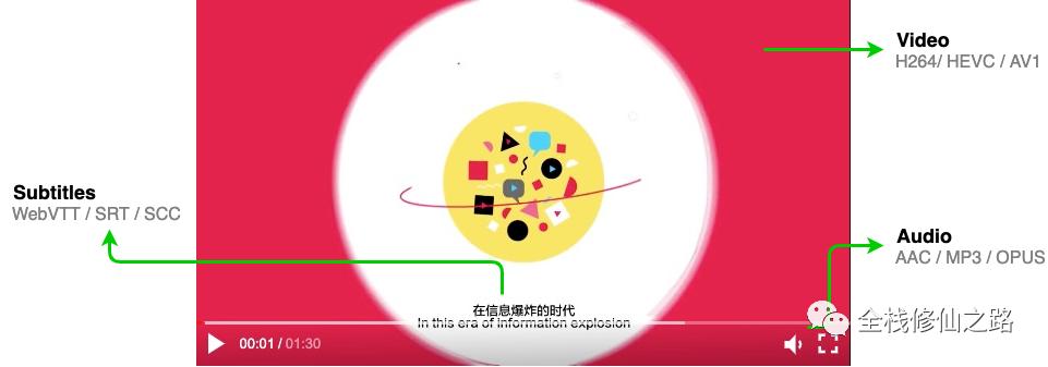 前端video插件,玩转视频软件