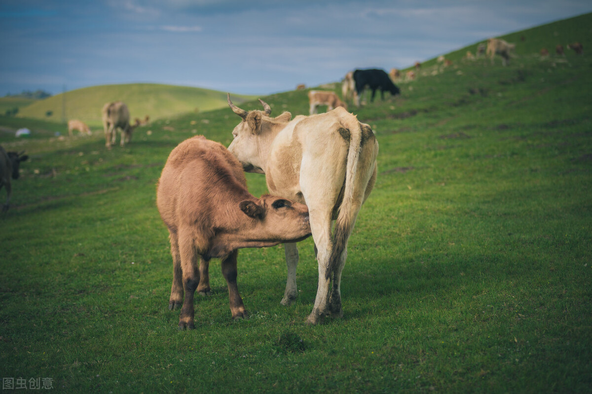 伏牛笔耕苑第263期2021.4.26