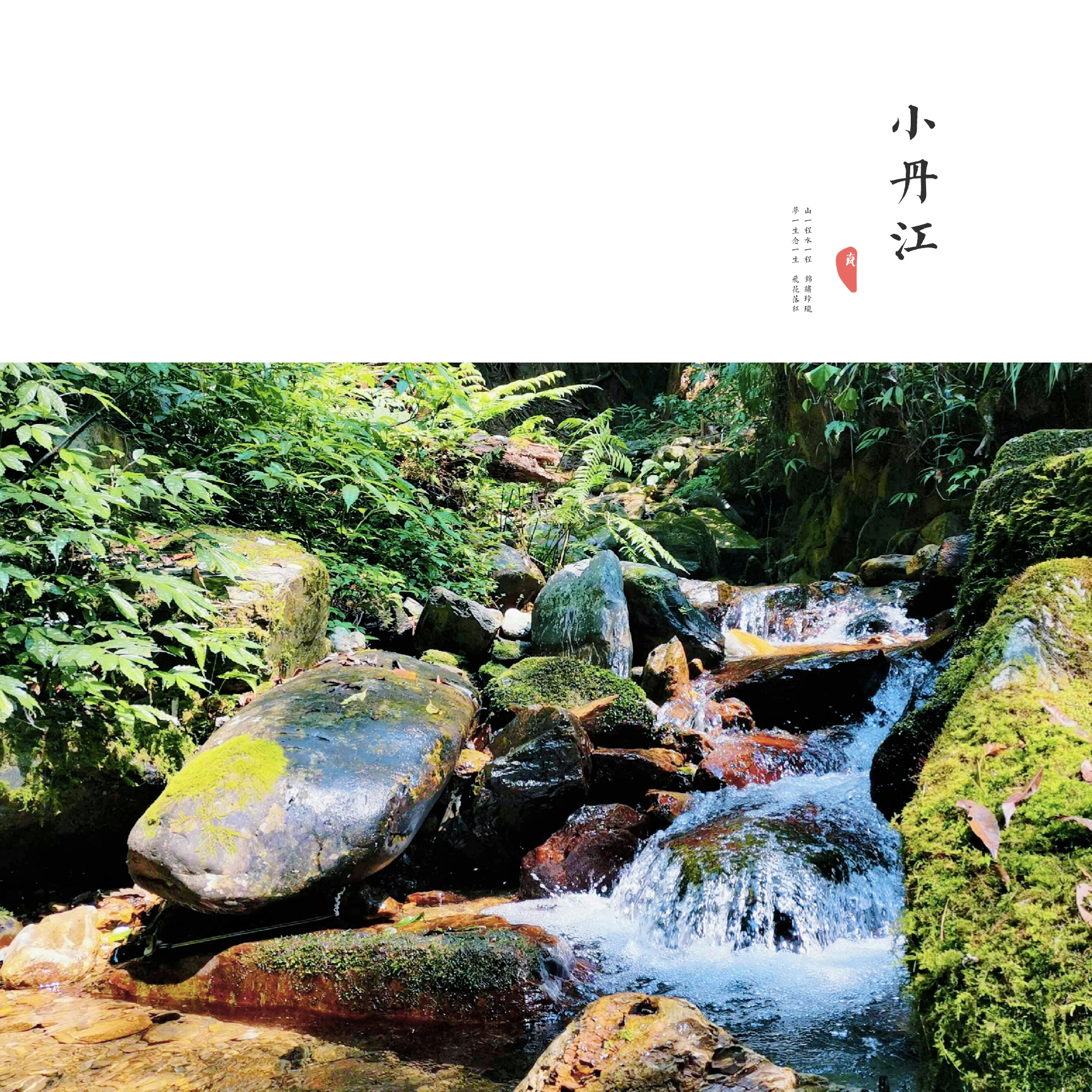 研学旅行圣水湖,研学旅行丹江口