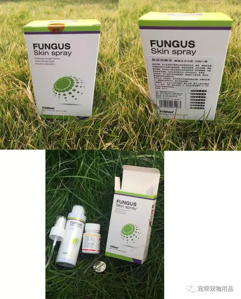 猫咪泌尿疾病怎么治疗,猫咪常见的疾病有哪些