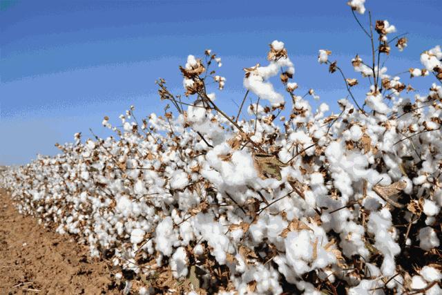 要用就用好产品,要用就用高品质产品