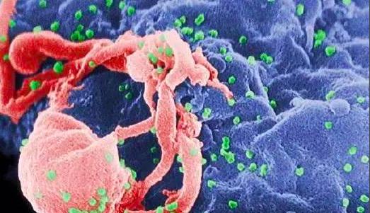 欧洲瘟疫死亡2500万人是哪一年,人类最大的瘟疫