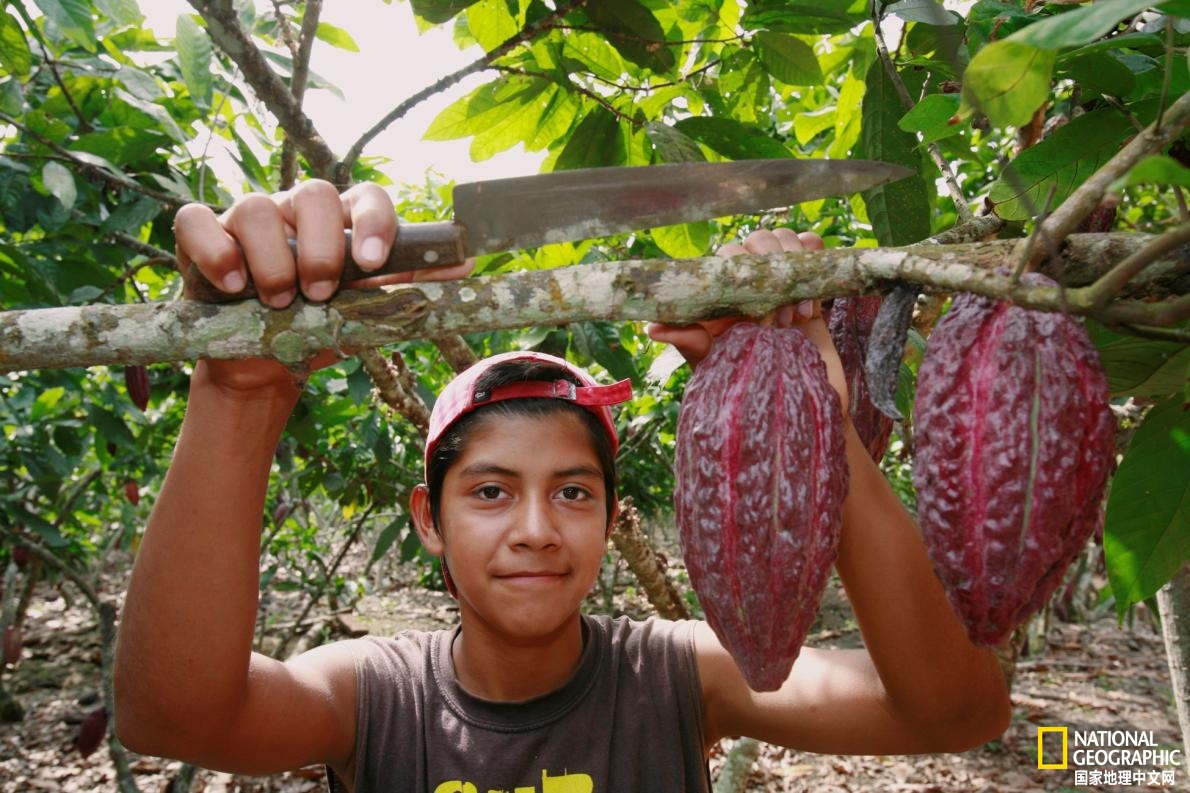 探秘莫斯科巧克力工厂,世界十大巧克力产地排行榜