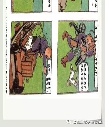 丁丁和丁丁历险记论文,丁丁历险记丁丁的服装