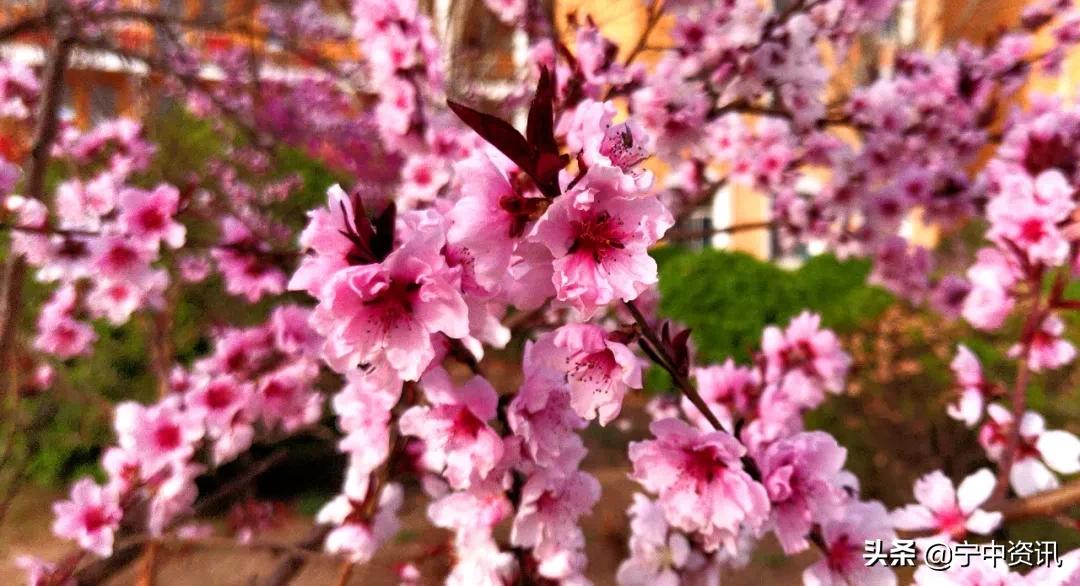 宁晋中学闫珊：三步走医治“英语老师恐惧症”