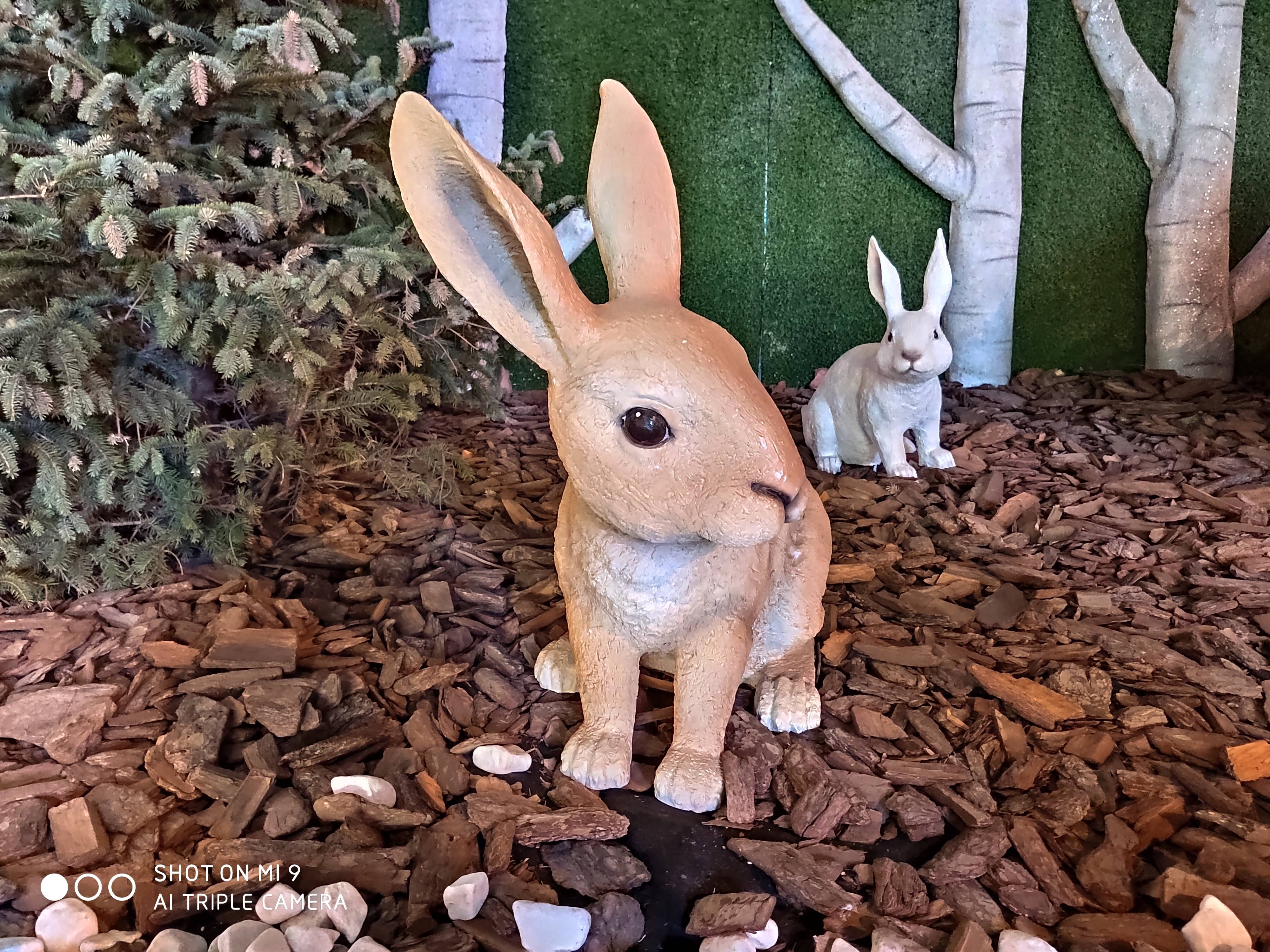 小米9用了四年半了值得换吗,小米9一天可以用多久