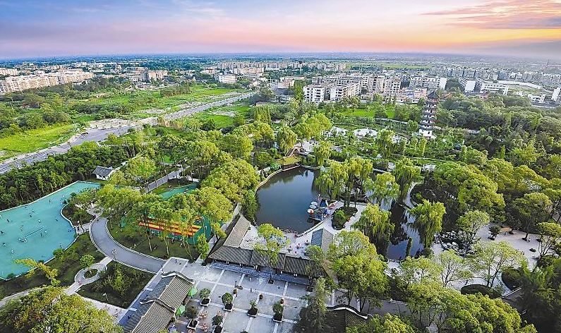 雪茄故事大全视频,雪茄有趣的小故事