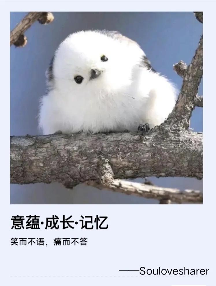 简短几句歌词唱出人的一生,简单的几段歌词唱出所有人的心声