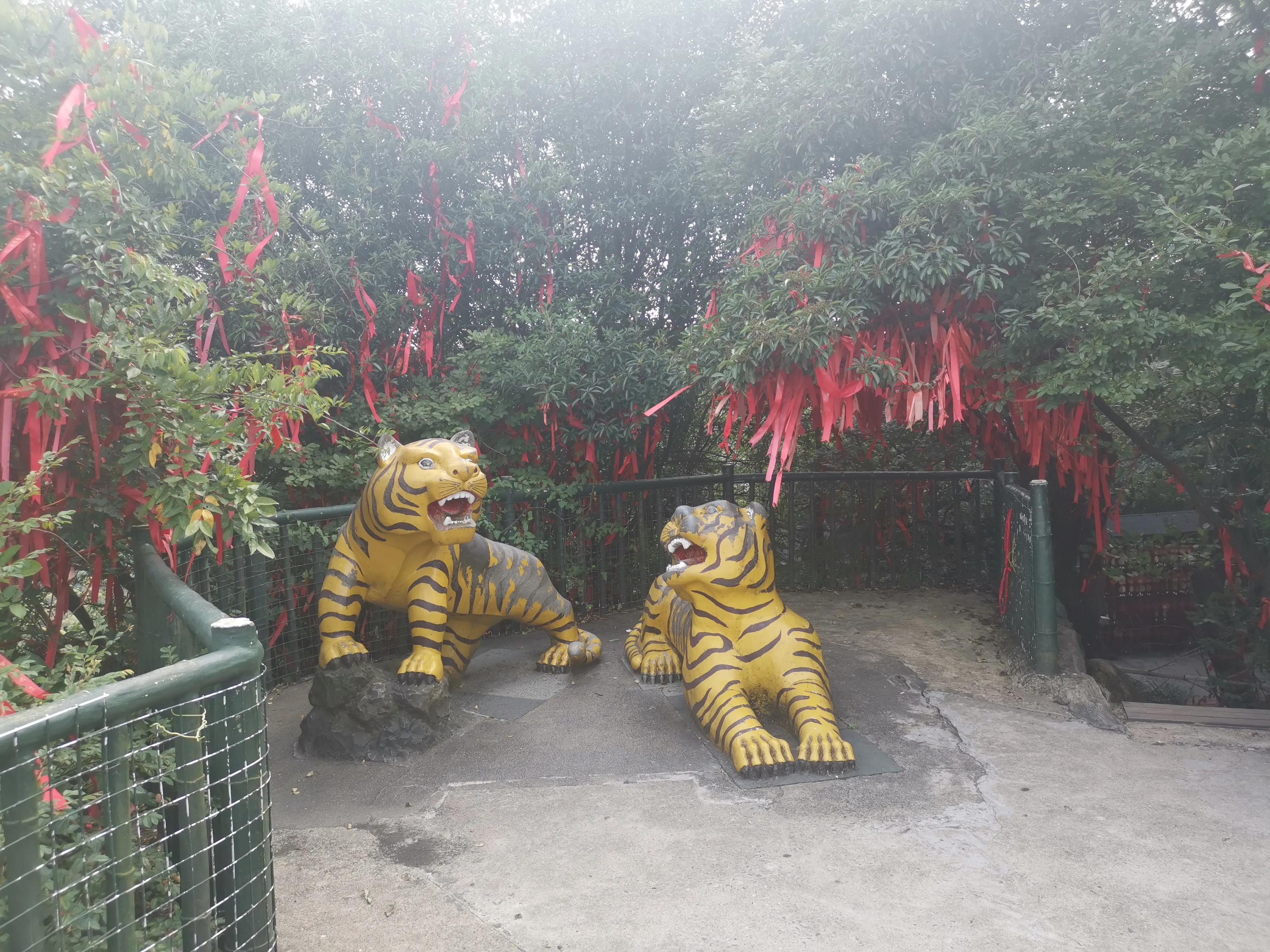 周末韶山一日游：参观了毛*东泽**故居、滴水洞、虎歇坪