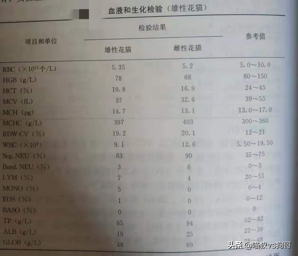 怎么预防猫咪感染猫冠状病毒,猫咪冠状病毒可以不隔离吗