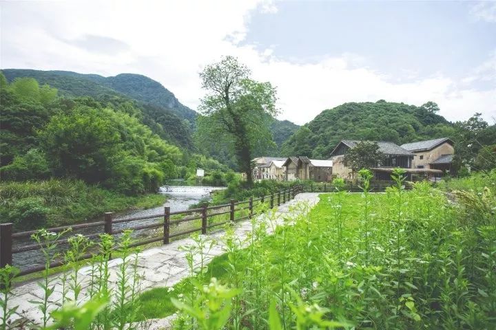 浙江杭州民宿3天二晚,浙江浦江登高村春社民宿