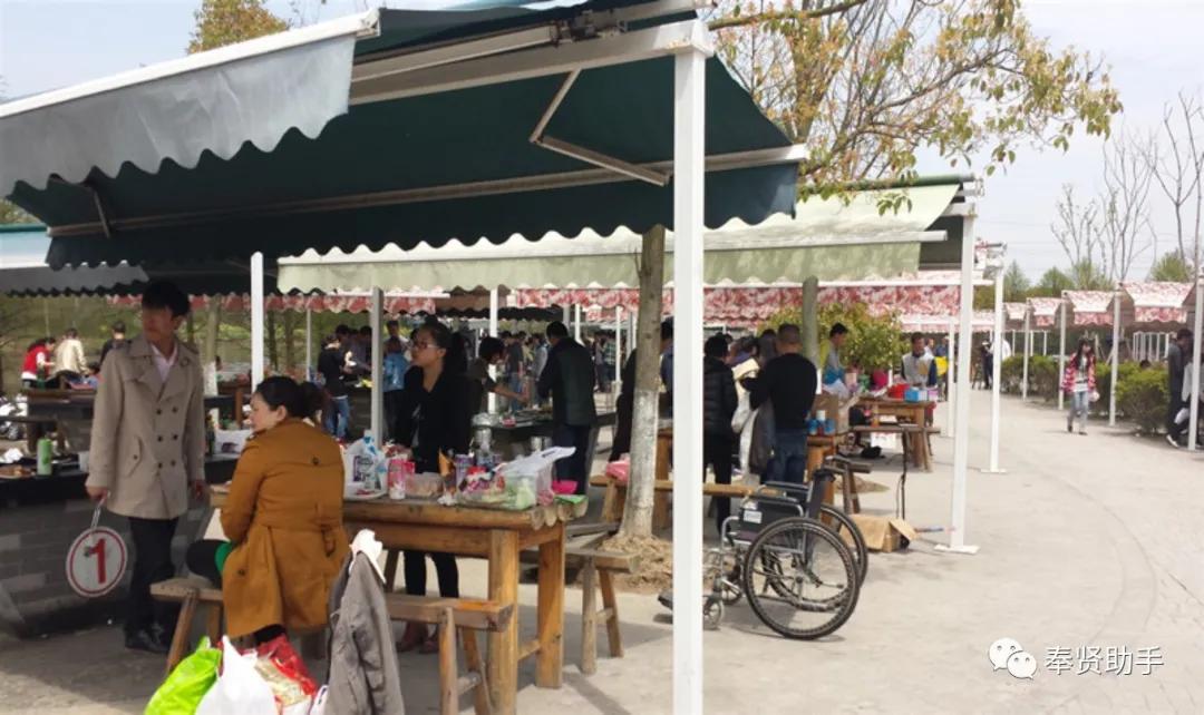 奉贤区南桥镇旅游景点,上海奉贤景点推荐一日游最佳路线