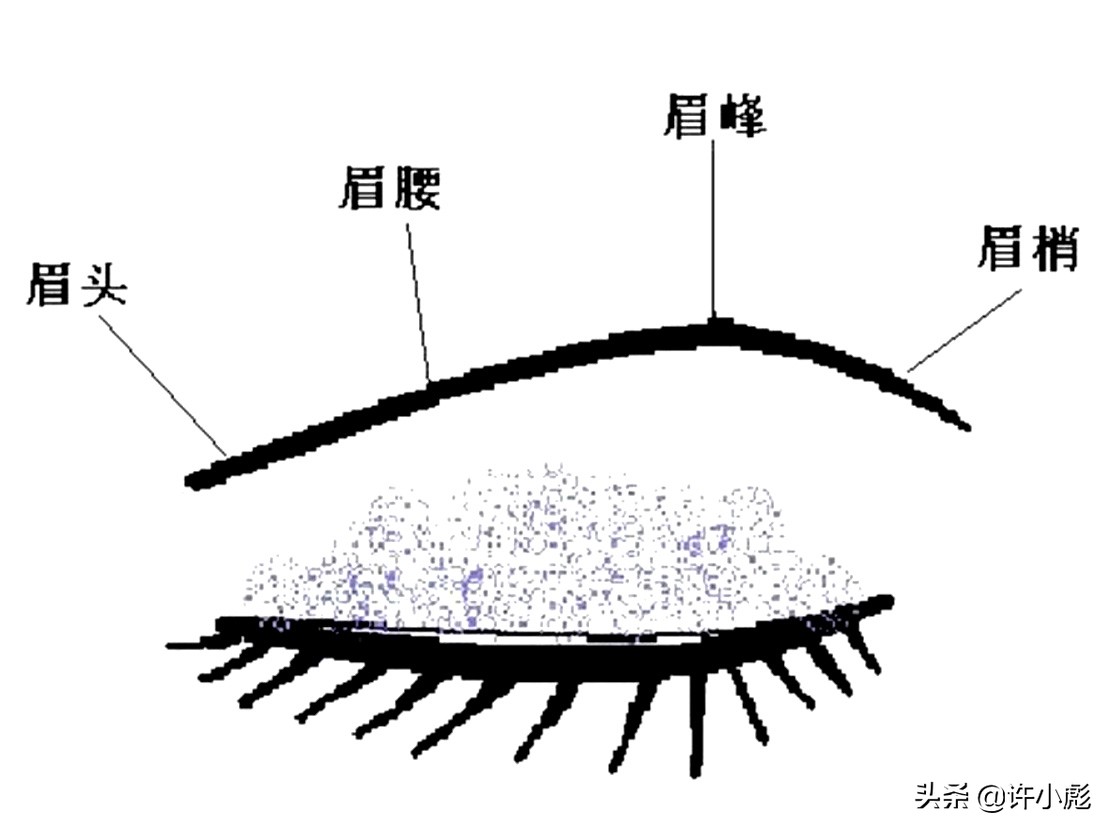 眉毛多但眉形不好看要纹眉吗,眉毛淡画眉毛的技巧和方法