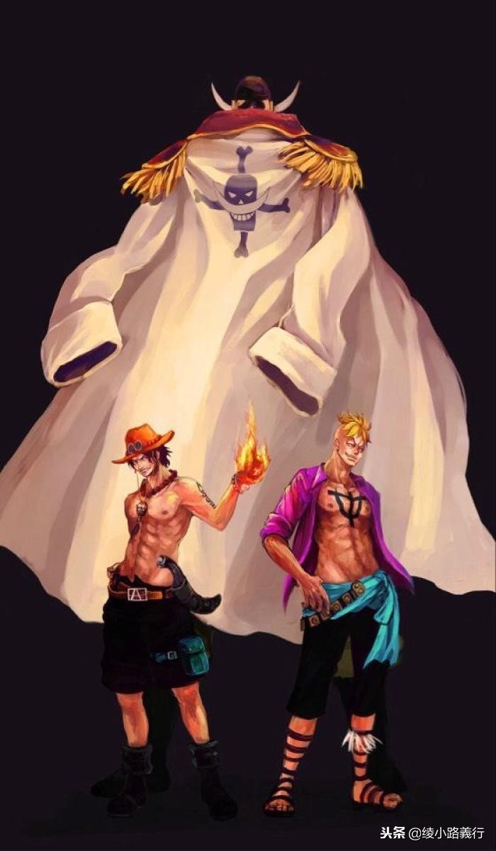 海贼王漫画叫什么名字,海贼王漫画名字跟动画的区别