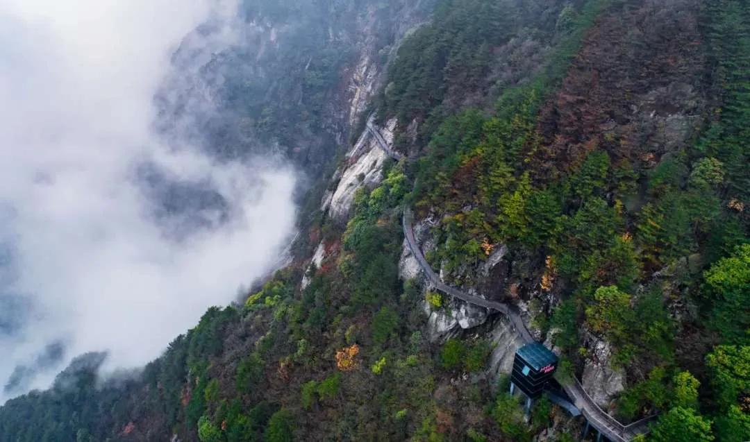 湖南岳阳排行榜前十名,湖南岳阳全国百强排名