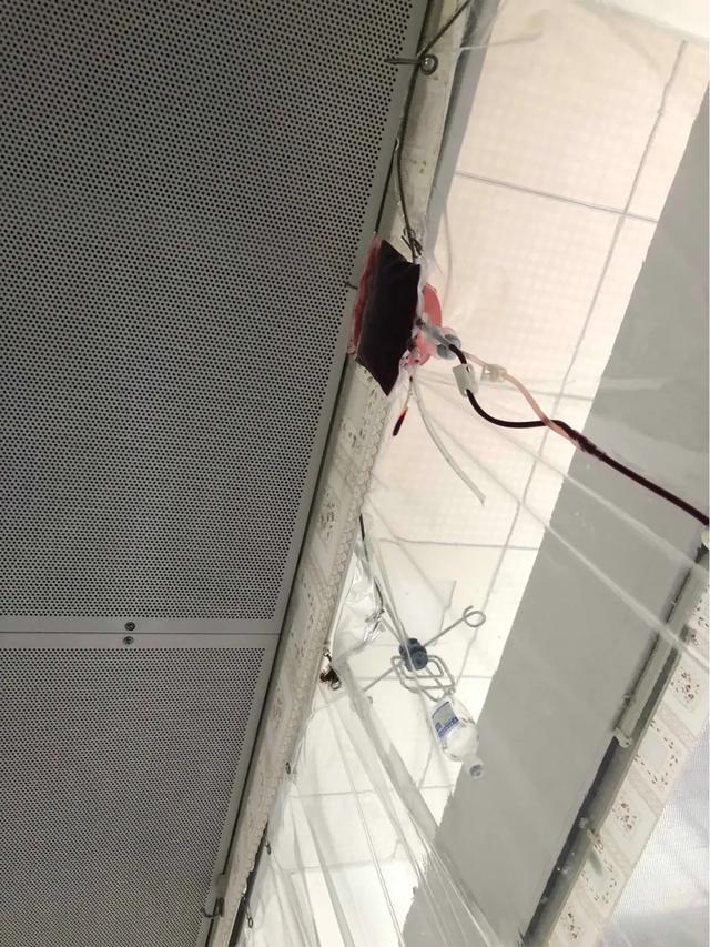 得了白血病不想动吗,白血病查出20天怎么就去世了