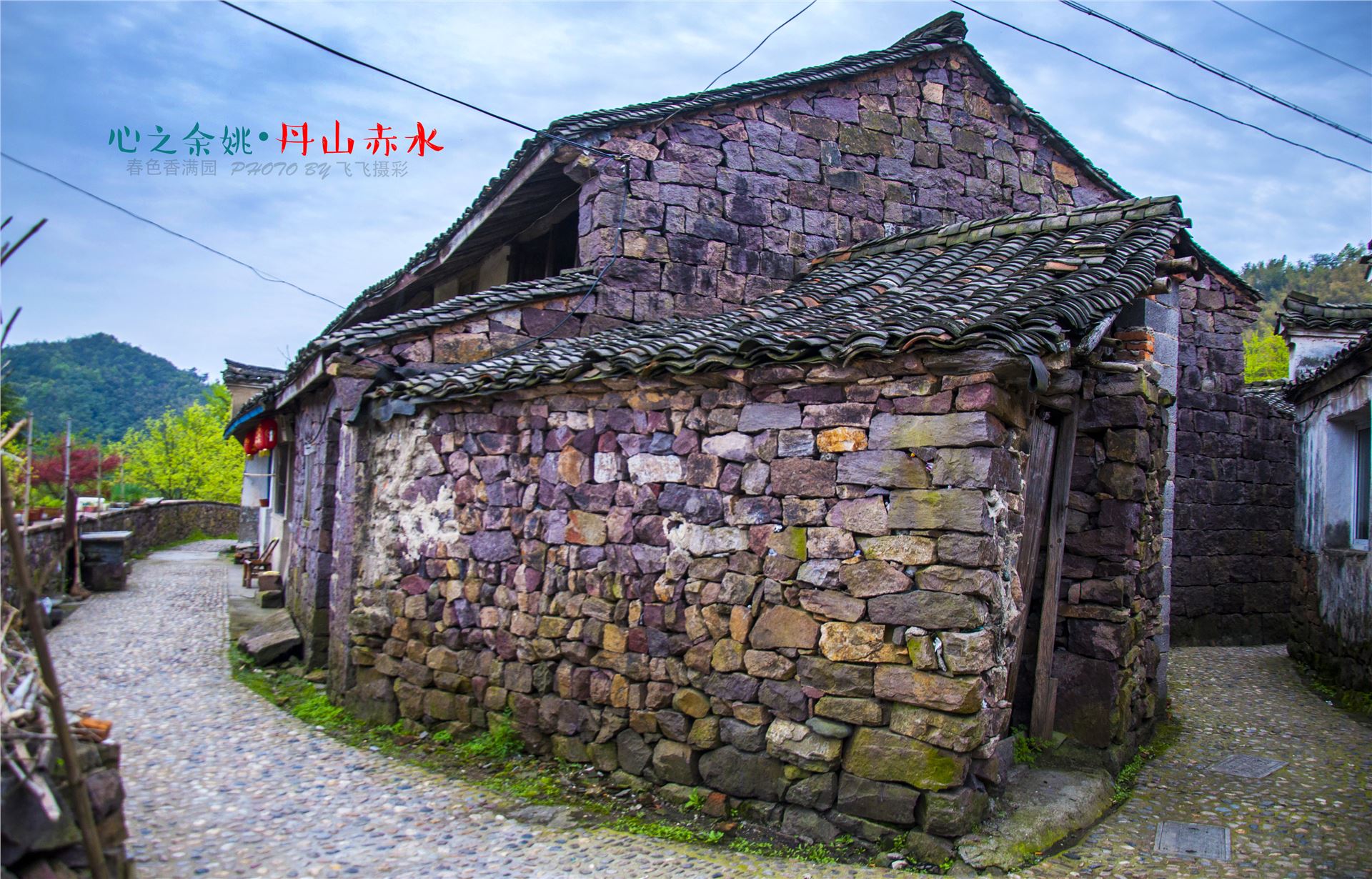 丹山赤水的老柿林景区,丹山赤水柿林古村