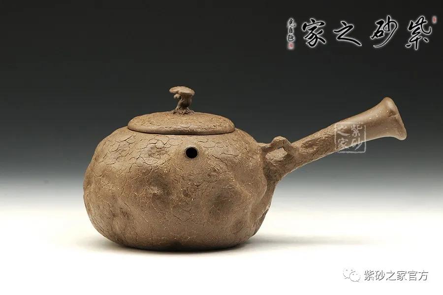 599和849什么区别,180的壶跟100的壶哪个好