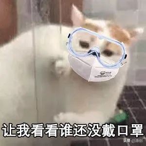 拼多多和淘宝上的口罩哪里的好,淘宝京东拼多多怎么抢口罩