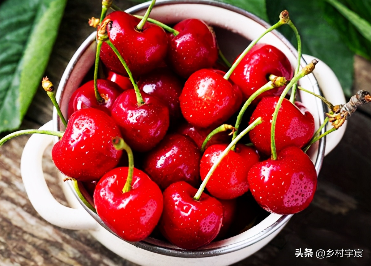 大棚樱桃减产5成，怎么了？6点果农要注意