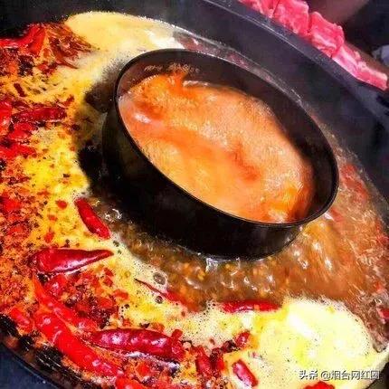 通哥带你吃川菜,通哥美食最新视频