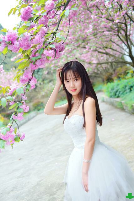 上联：随风漫步走，佳人飘逸似春柳。下联：？请友赐联