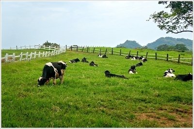 台湾东海岸攻略,台湾自由行旅游路线图攻略