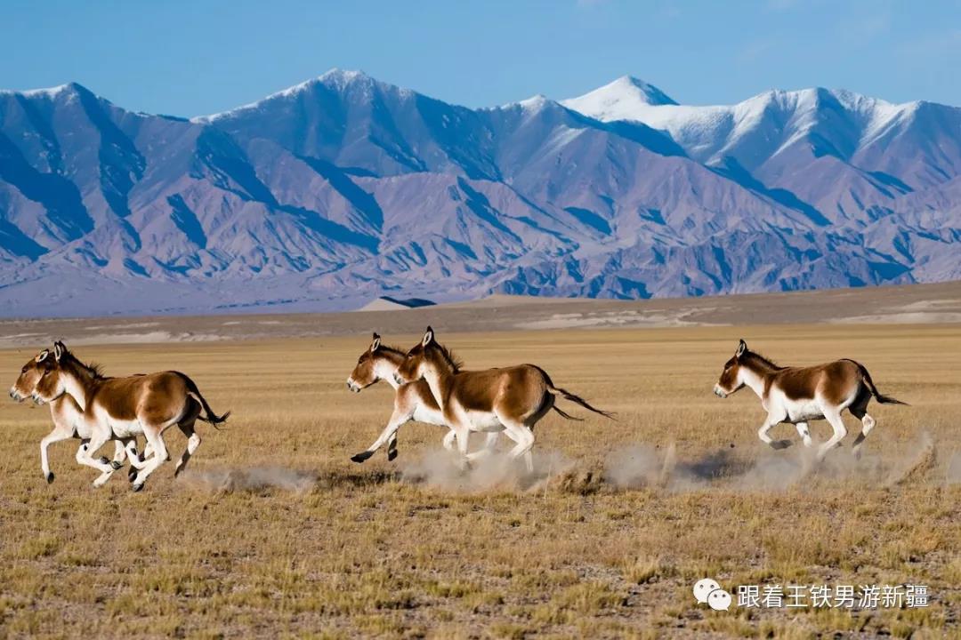 中国山脉地图详解,中国的地理五大山脉