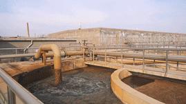 小米开始造碳版鞋,小米自研的鞋子