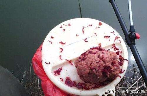 红虫病有多可怕,红虫是不是血线虫