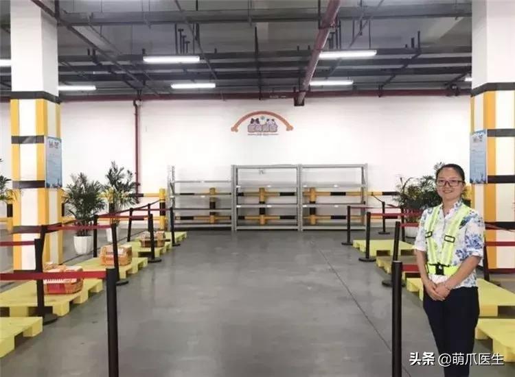上海可带宠物入住的酒店推荐,怎么选宠物友好酒店房间