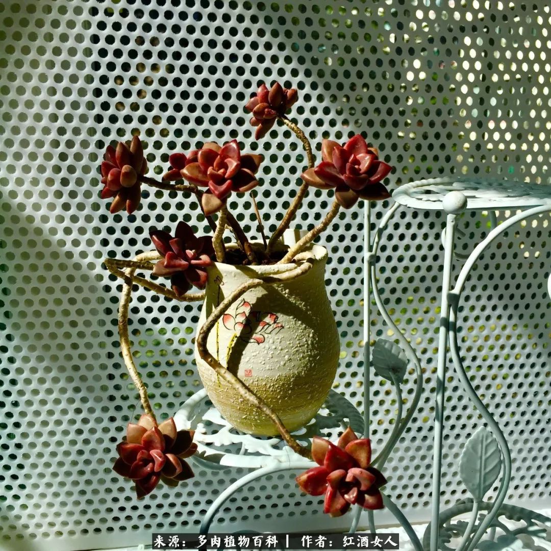 记录走过的美景留下美好的回忆,记录走过的每一段美好时光