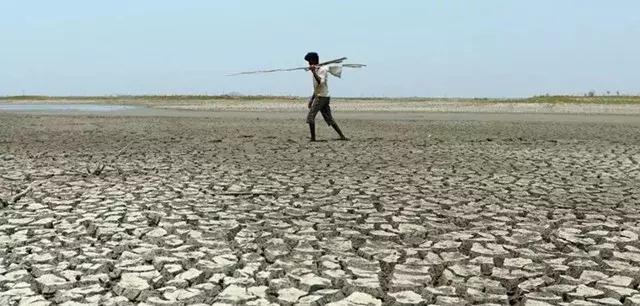 人类面临的生态困境包括哪,生态农业的可能性以及前景