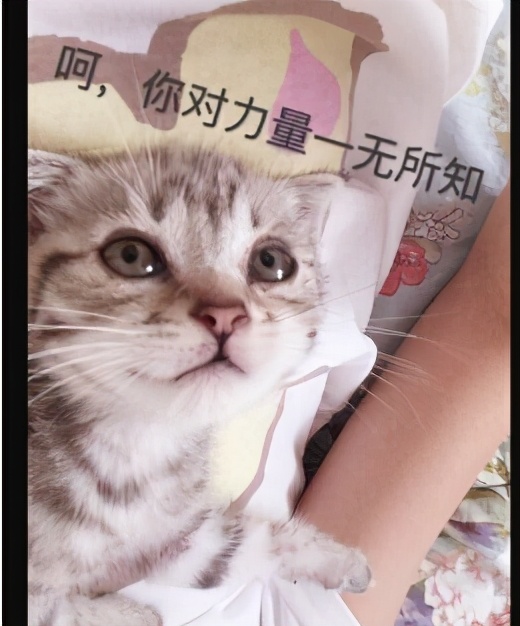 bp快速入门,bp的正确思路