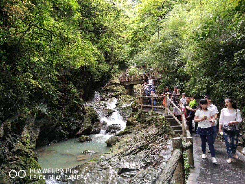 重庆黑山谷避暑适合吗,重庆避暑7天黑山谷