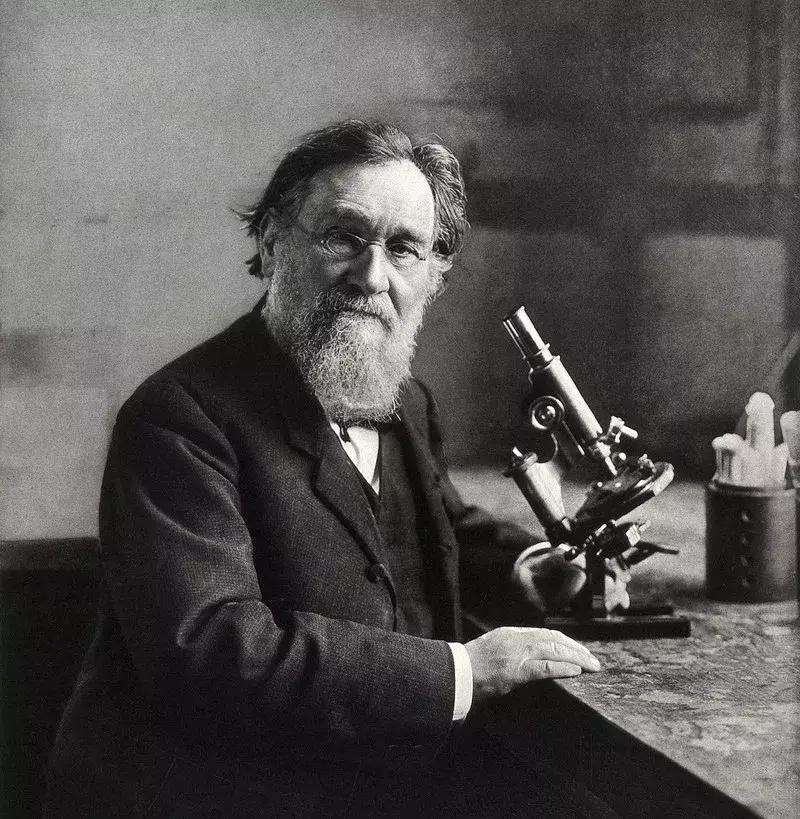 酸奶中的益生菌真的有用吗,益生菌和益生菌酸奶的区别