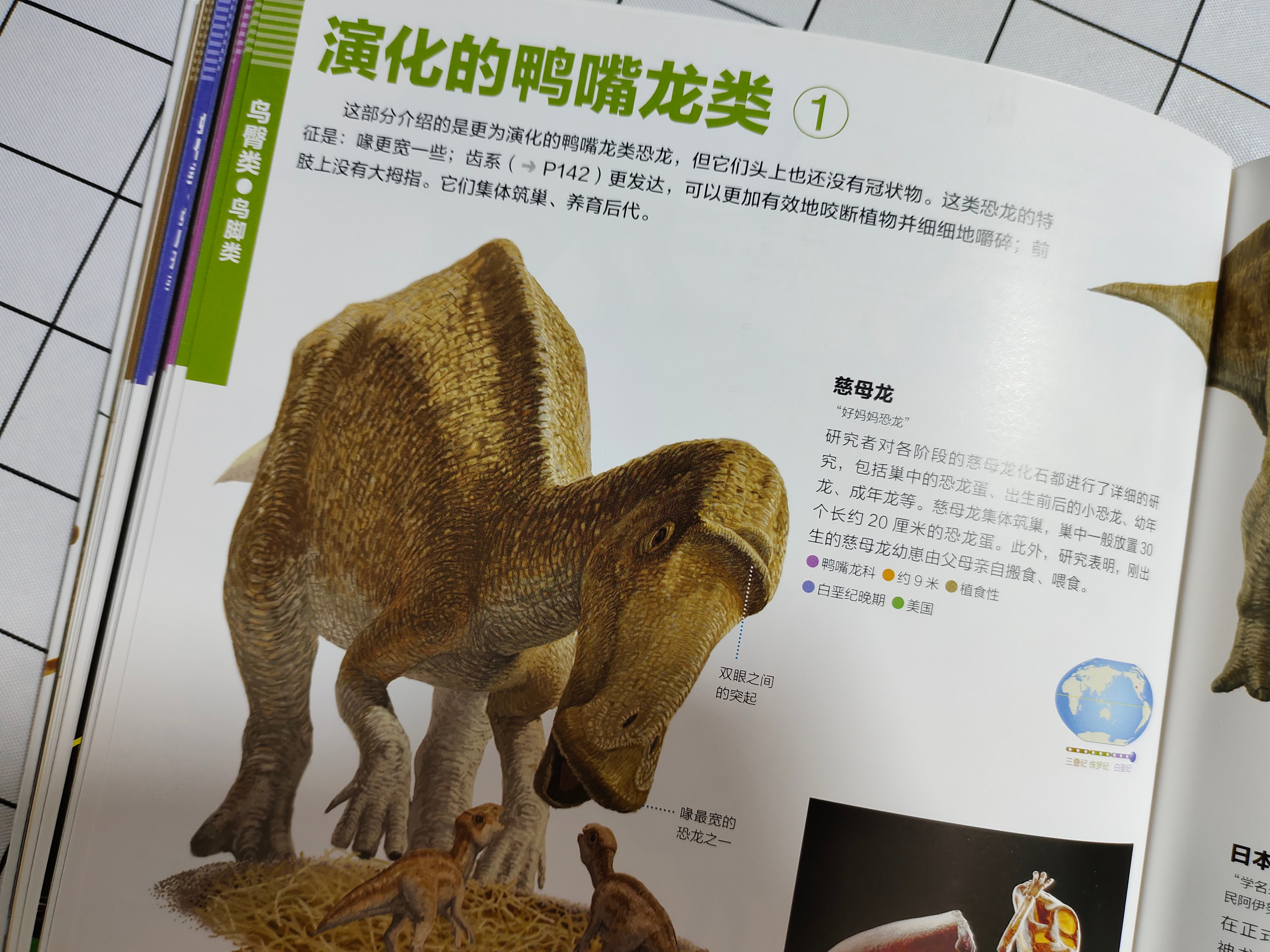 恐龙百科全书恐龙世界的无穷奥秘,世界上最全的恐龙百科全书