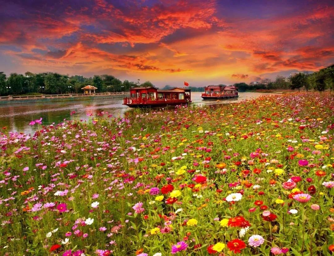 佛山市景区全免费开放,佛山南海多个场馆恢复开放