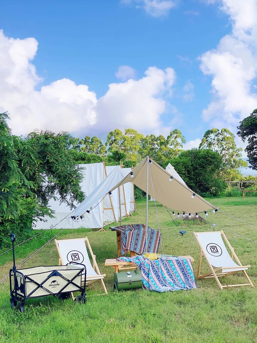 收藏!刷爆小红书的深圳济州岛绵羊牧场咖啡厅,256G都不够拍