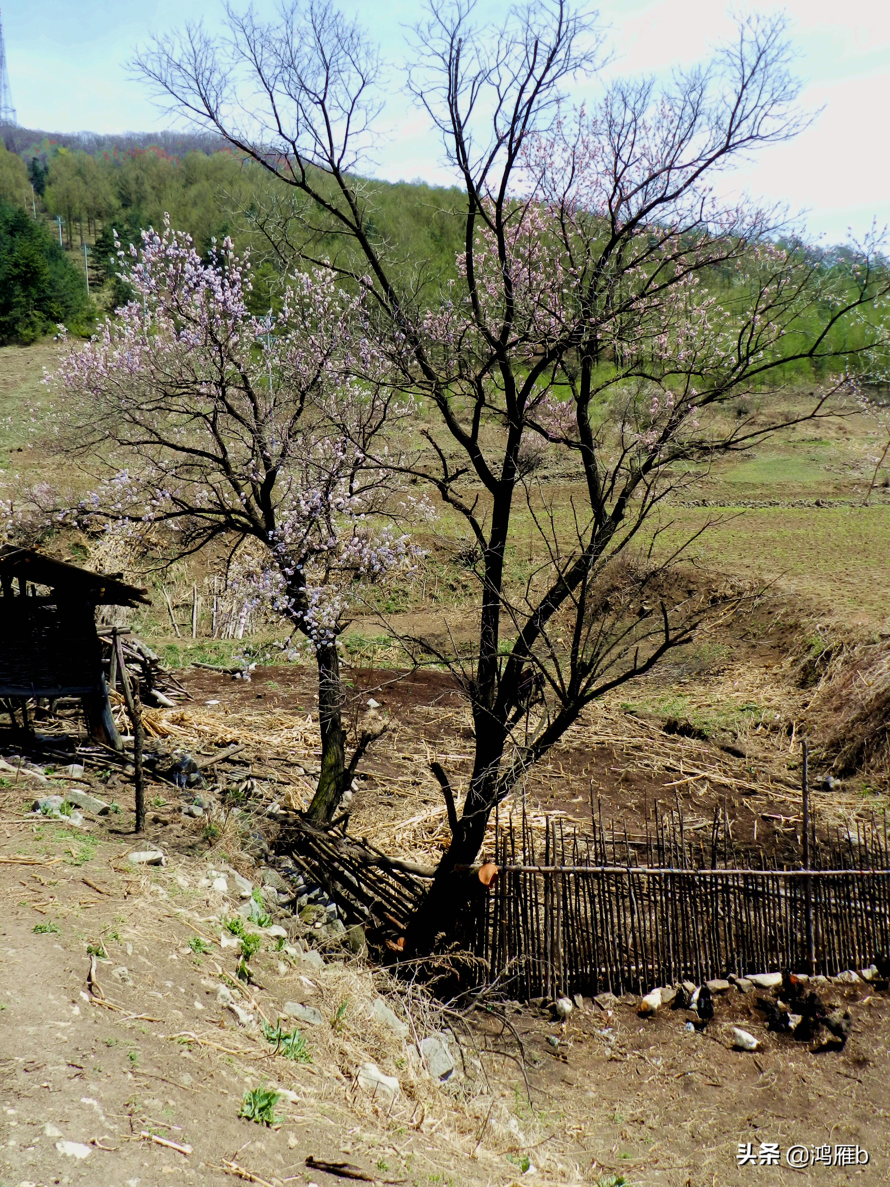 本溪小众秘境,本溪神秘山村